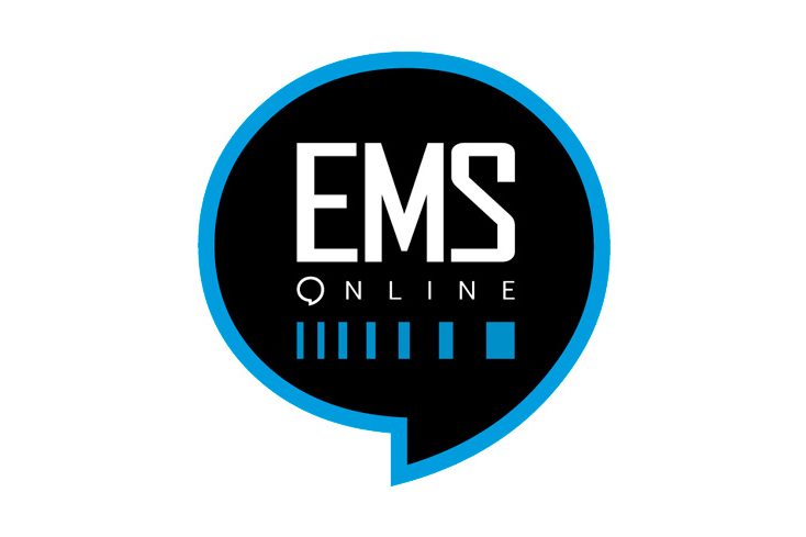 Avalyon. Diseño de logo EMS Online