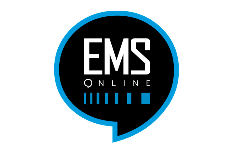 Avalyon. Diseño de logo EMS Online